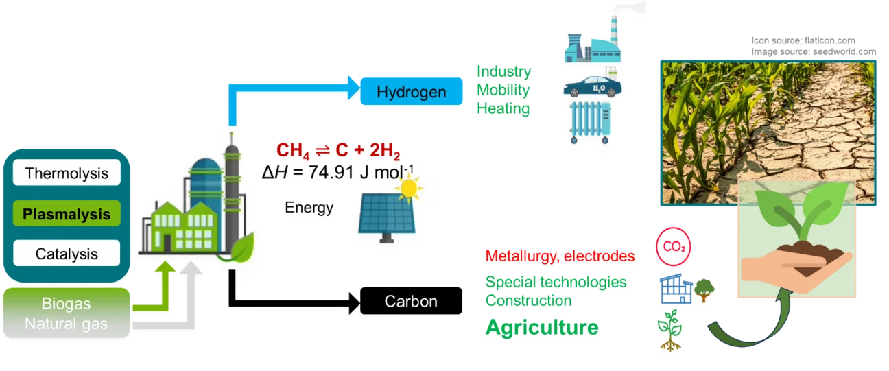 Graphical abstract: