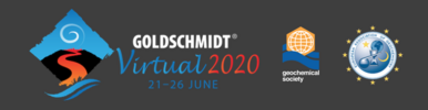 godschmidt_2020_virtual